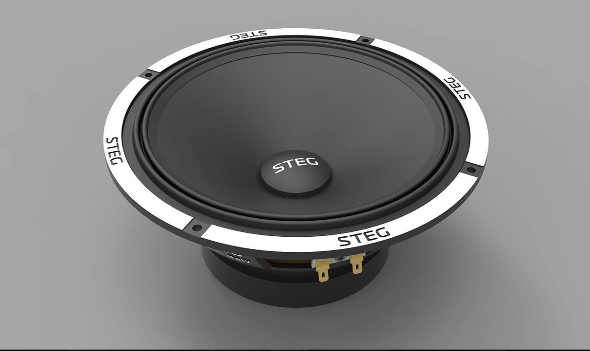 STEG F8 Woofer SPL ALTA EFFICIENZA DA 20CM 200 WATT RMS (COPPIA) - TechSoundSystem.com