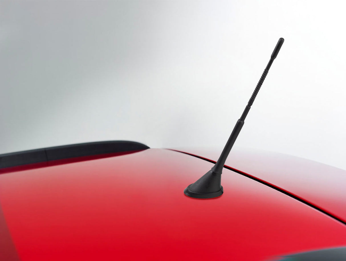 Phonocar 08195 Antenna AM/FM/DAB+ amplificata da tetto posteriore - TechSoundSystem.com