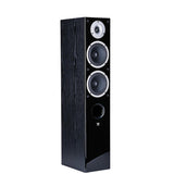 Wilson RAPTOR 5 Diffusori da pavimento 2 vie 150W (COPPIA) - TechSoundSystem.com