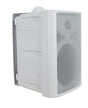 GLEMM BS 106W Diffusore passivo 70W - TechSoundSystem.com