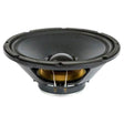 Ciare FXI12.50W woofer dalla potenza di 450 W e 220 W RMS a 8 Ohm 12” - TechSoundSystem.com