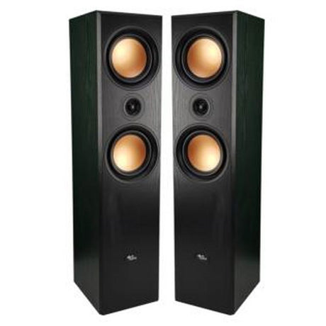 Evidence Acoustics 800PG Coppia Diffusori Da Pavimento HiFi 350W