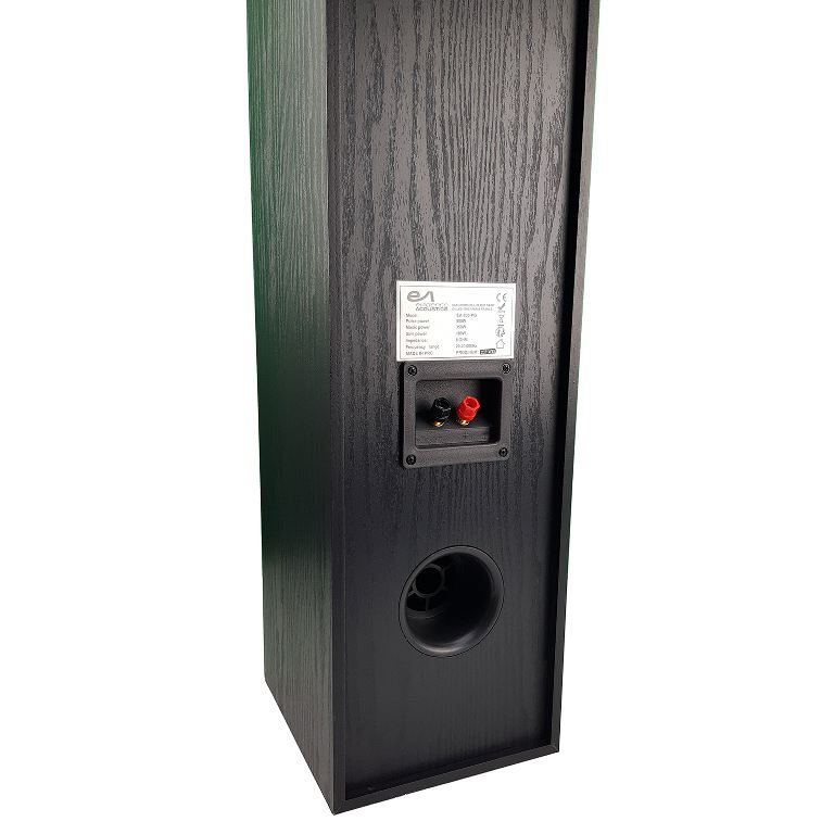 Evidence Acoustics 800PG Coppia Diffusori Da Pavimento HiFi 350W - TechSoundSystem.com