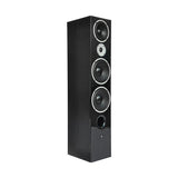 Wilson RAPTOR 9 MAX Diffusori da pavimento 250W 3 vie (COPPIA) - TechSoundSystem.com