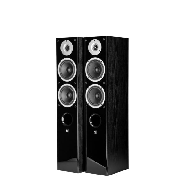 Wilson RAPTOR 5/MINI/VOCAL kit Home CInema e Hi-Fi 5.0 altissima qualità - 10 ANNI DI GARANZIA! - TechSoundSystem.com